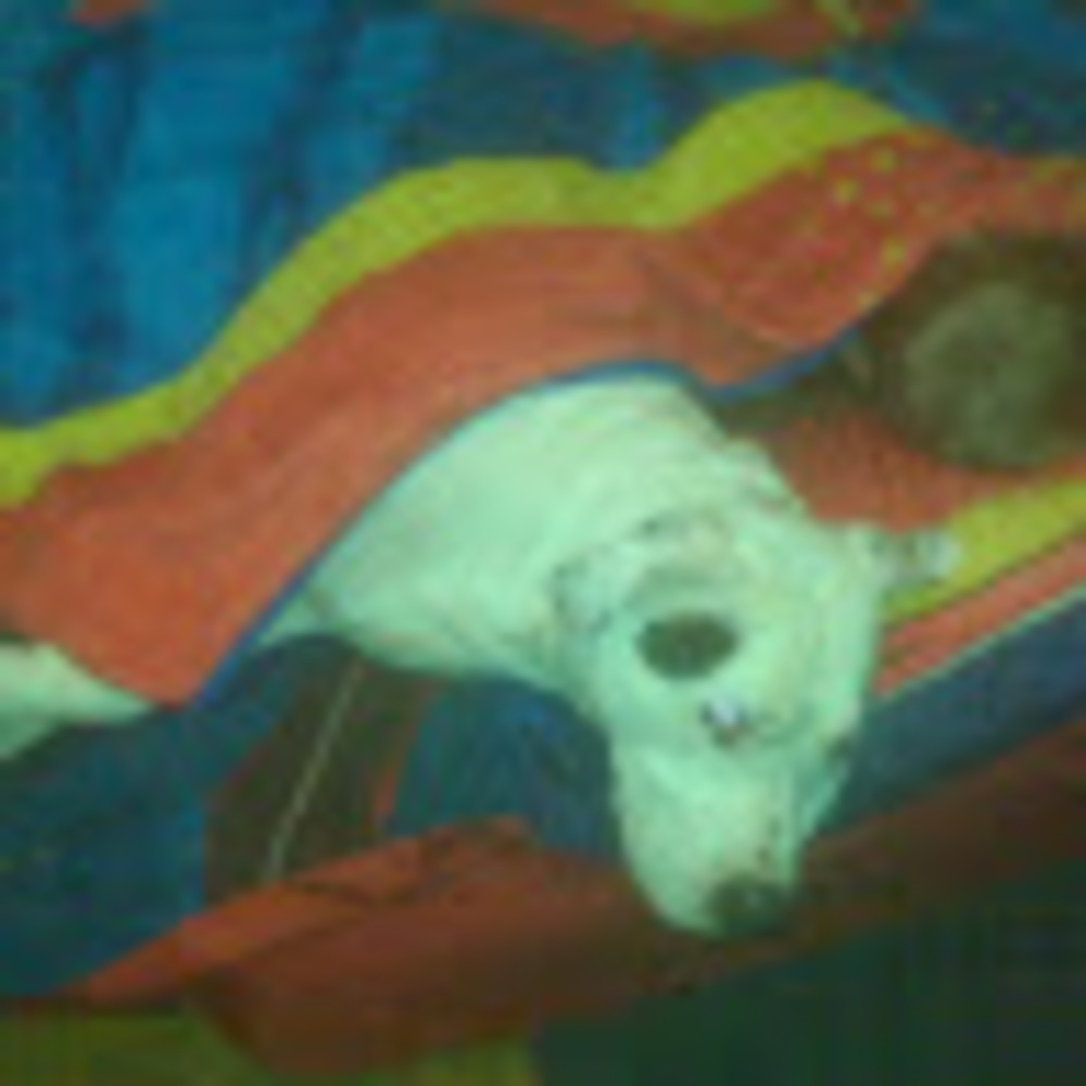 Meet your Posher, Michelle